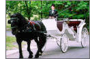 Weddings: transportation